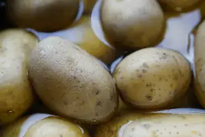 How To Boil Potatoes